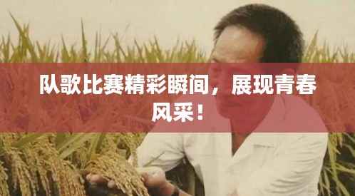 队歌比赛精彩瞬间,展现青春风采!