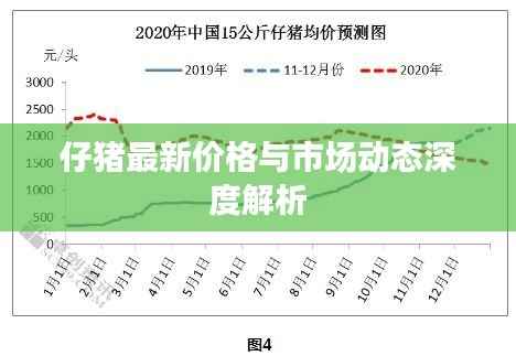 仔猪最新价格与市场动态深度解析