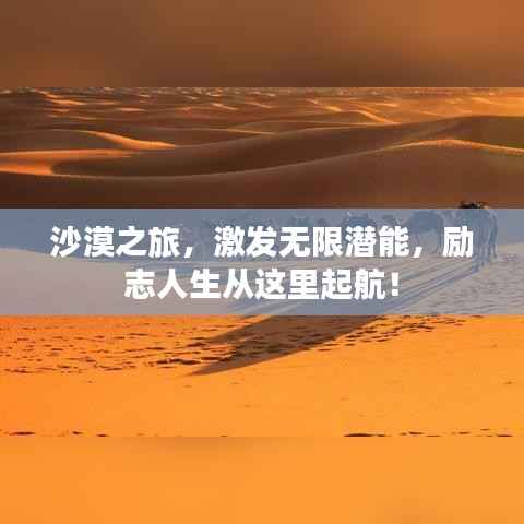 千载难逢 第5页