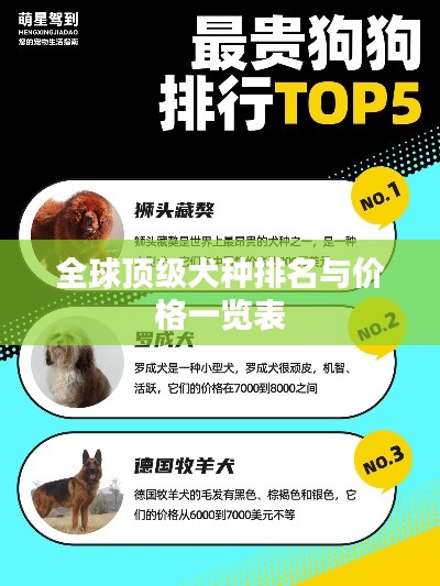 全球顶级犬种排名与价格一览表