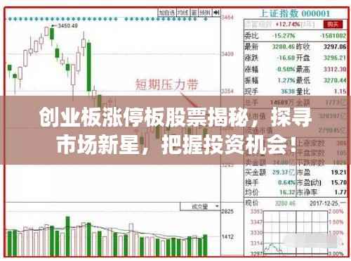 创业板涨停板股票揭秘，探寻市场新星，把握投资机会！