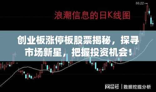 创业板涨停板股票揭秘,探寻市场新星,把握投资机会!
