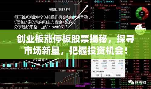 创业板涨停板股票揭秘,探寻市场新星,把握投资机会!