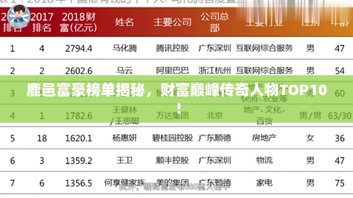 鹿邑富豪榜单揭秘,财富巅峰传奇人物TOP10!