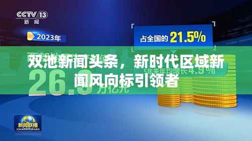 双池新闻头条,新时代区域新闻风向标引领者