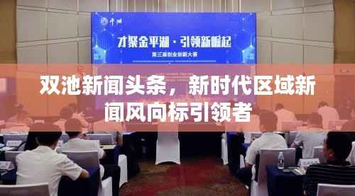 双池新闻头条,新时代区域新闻风向标引领者