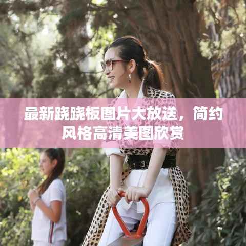 最新跷跷板图片大放送,简约风格高清美图欣赏