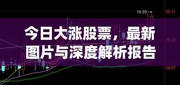 今日大涨股票，最新图片与深度解析报告