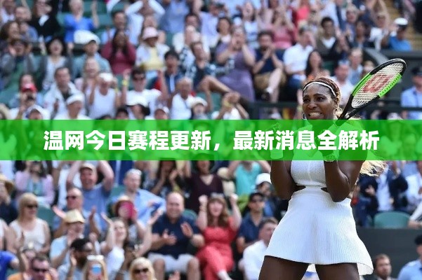 温网今日赛程更新,最新消息全解析