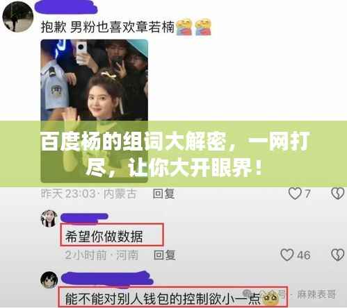 百度杨的组词大解密,一网打尽,让你大开眼界!