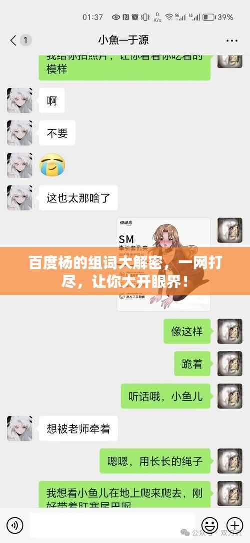 百度杨的组词大解密,一网打尽,让你大开眼界!