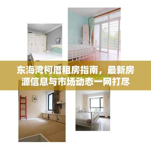 东海湾柯厝租房指南,最新房源信息与市场动态一网打尽