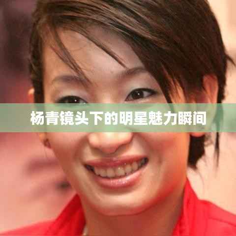 杨青镜头下的明星魅力瞬间