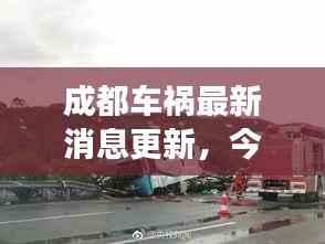 成都车祸最新消息更新,今日事故现场情况及救援进展