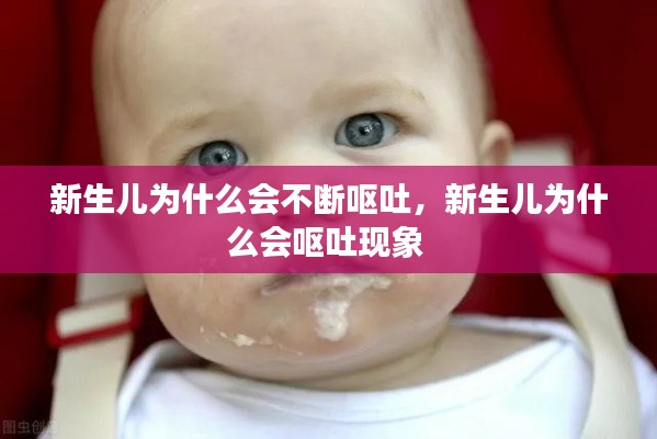 新生儿为什么会不断呕吐,新生儿为什么会呕吐现象