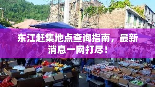 东江赶集地点查询指南,最新消息一网打尽!