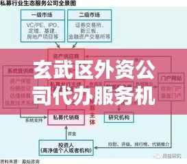 玄武区外资公司代办服务机构排名大揭秘！
