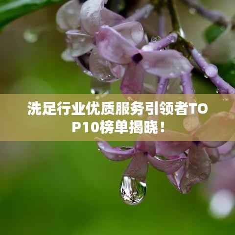 洗足行业优质服务引领者TOP10榜单揭晓！
