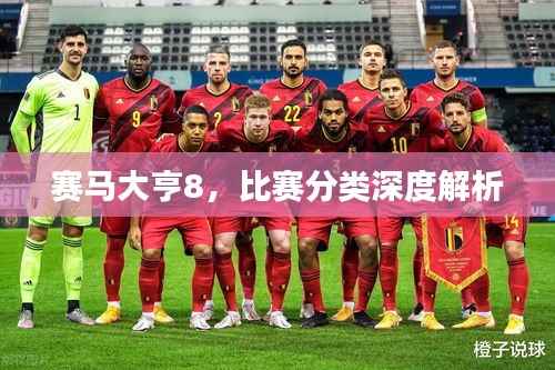 赛马大亨8,比赛分类深度解析