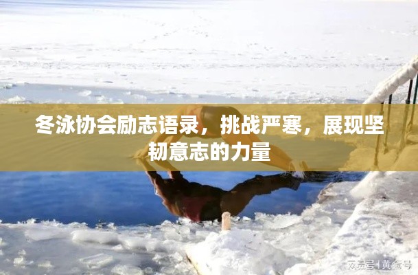 冬泳协会励志语录,挑战严寒,展现坚韧意志的力量