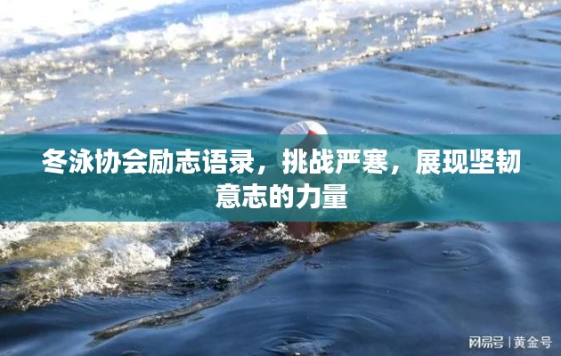 冬泳协会励志语录,挑战严寒,展现坚韧意志的力量