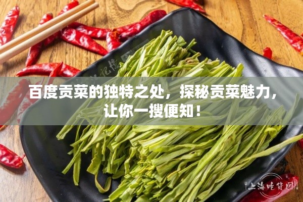 百度贡菜的独特之处,探秘贡菜魅力,让你一搜便知!