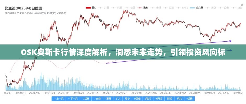OSK奥斯卡行情深度解析,洞悉未来走势,引领投资风向标