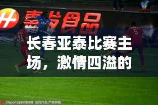 长春亚泰比赛主场,激情四溢的足球圣地探访