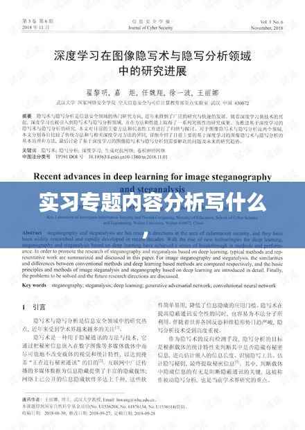 实习专题内容分析写什么， 