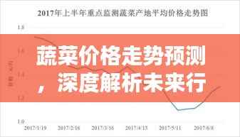 蔬菜价格走势预测，深度解析未来行情