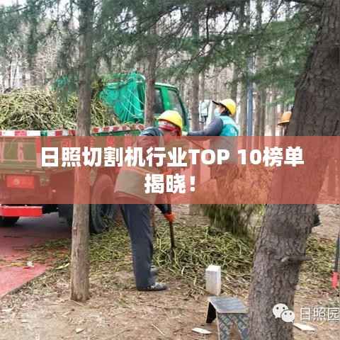 日照切割机行业TOP 10榜单揭晓!