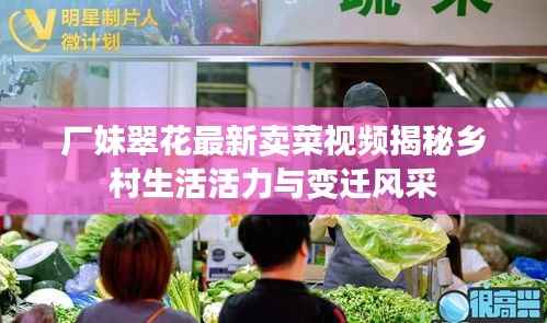 厂妹翠花最新卖菜视频揭秘乡村生活活力与变迁风采
