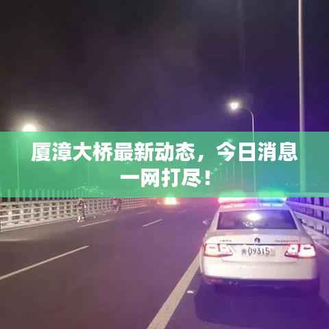 厦漳大桥最新动态,今日消息一网打尽!