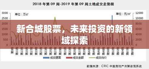 新合城股票,未来投资的新领域探索