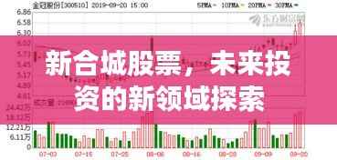 新合城股票,未来投资的新领域探索