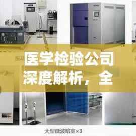 医学检验公司深度解析，全方位了解行业领军者