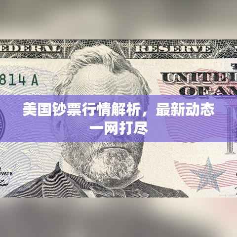 美国钞票行情解析，最新动态一网打尽