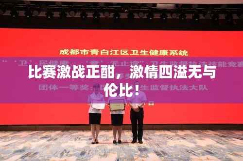 比赛激战正酣,激情四溢无与伦比!