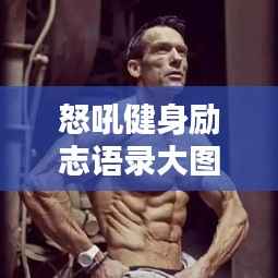 怒吼健身励志语录大图分享,激发你的无限潜能!