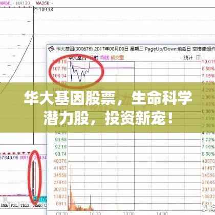 华大基因股票,生命科学潜力股,投资新宠!