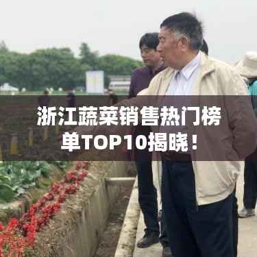 浙江蔬菜销售热门榜单TOP10揭晓！