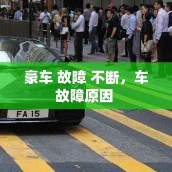 鸟革翬飞 第4页