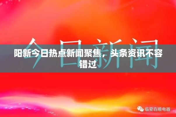 阳新今日热点新闻聚焦,头条资讯不容错过