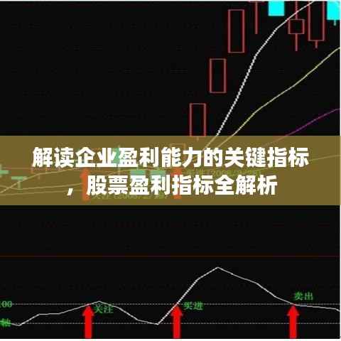 解读企业盈利能力的关键指标,股票盈利指标全解析