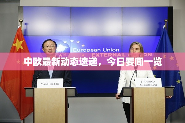 中欧最新动态速递,今日要闻一览