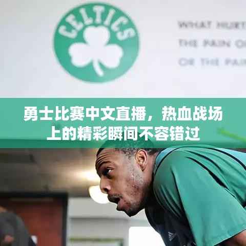 勇士比赛中文直播,热血战场上的精彩瞬间不容错过