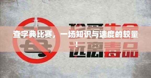 查字典比赛,一场知识与速度的较量!