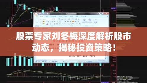 股票专家刘冬梅深度解析股市动态,揭秘投资策略!