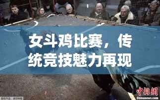 女斗鸡比赛,传统竞技魅力再现新篇章
