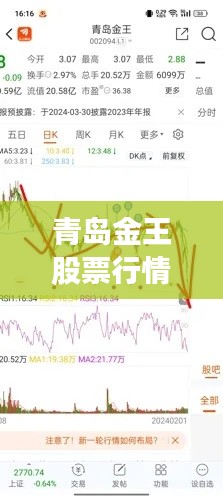 青岛金王股票行情全面解读,最新动态、趋势分析与投资建议